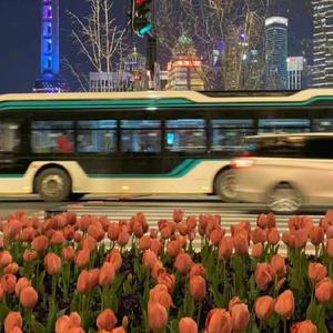 我被八个男人玩到早上H
