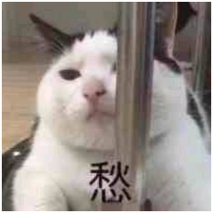 我被八个男人玩到早上H
